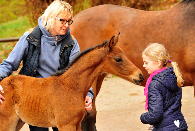 Giulietta und ihre Tochter von Shavalou - Trakehner Gestt Hmelschenburg - Foto: Beate Langels