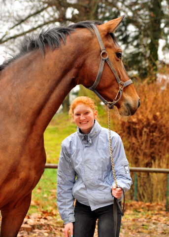 Giulietta v. Saint Cyr - Trakehner Gestt Hmelschenburg - Foto: Beate Langels