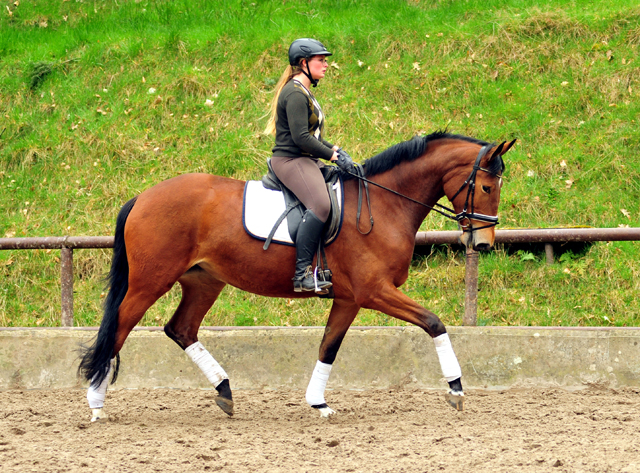 Kalena v. Honore du Soir x Freudenfest - Foto: Beate Langels