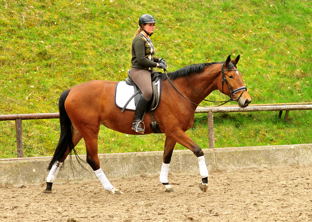 Kalena v. Honore du Soir x Freudenfest - Foto: Beate Langels