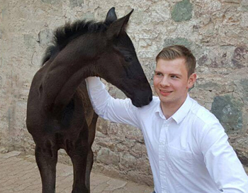 Trs Chic von Schwarzgold - Trakehner Gestt Hmelschenburg - Foto: Beate Langels