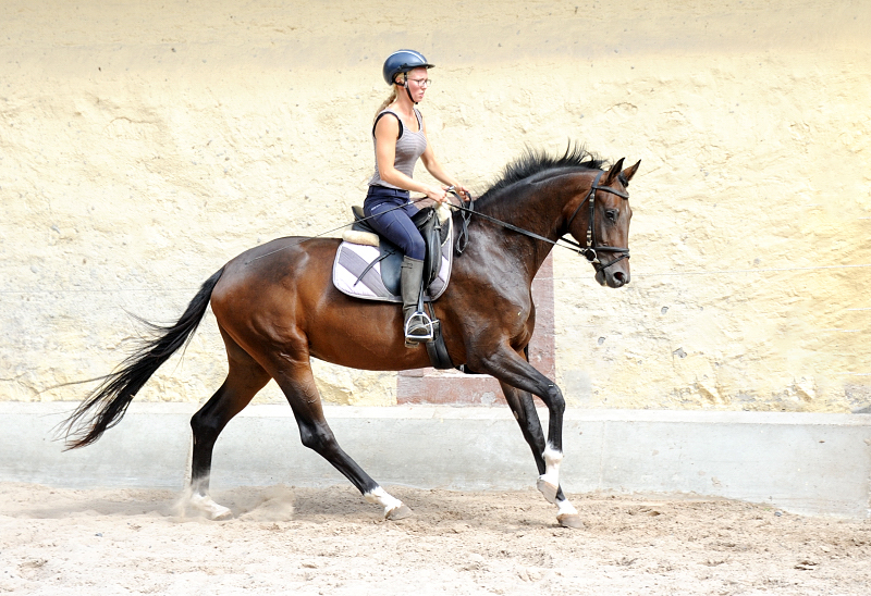 Schwalbenflocke und Jasmin - leicht angeritten am 19.08.2022 - 
Foto: Beate Langels