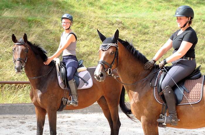 August 2022 - Trakehner Gestt Hmelschenburg  - Foto: Beate Langels