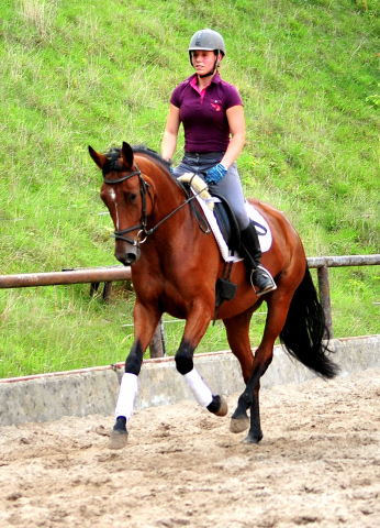 Barinja - Trakehner Gestt Hmelschenburg - Foto: Beate Langels