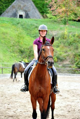 Barinja - Trakehner Gestt Hmelschenburg - Foto: Beate Langels