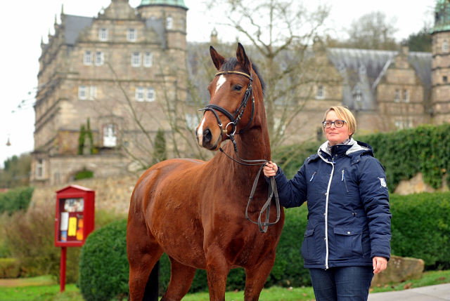 Trakehner Stute KITTY von Freudenfest x Exclusiv  - Foto Beate Langels - Trakehner Gestt Hmelschenburg