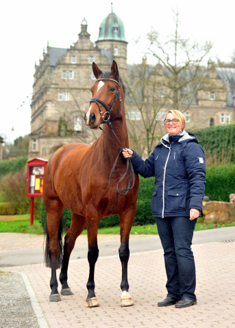 Trakehner Stute KITTY von Freudenfest x Exclusiv  - Foto Beate Langels - Trakehner Gestt Hmelschenburg