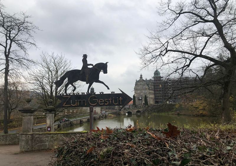 19. November 2021 in Hmelschenburg  - Foto: Beate Langels - Trakehner Gestt Hmelschenburg