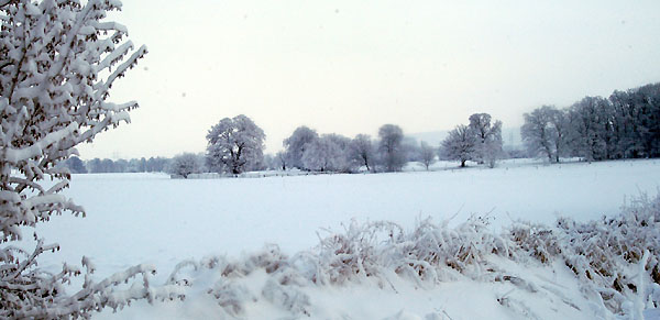 Ein Winterspaziergang am 4. Advent im Trakehner Gestt Hmelschenburg, Foto: Beate Langels