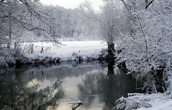 Ein Winterspaziergang am 4. Advent im Trakehner Gestt Hmelschenburg, Foto: Beate Langels