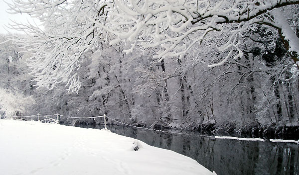 Ein Winterspaziergang am 4. Advent im Trakehner Gestt Hmelschenburg, Foto: Beate Langels