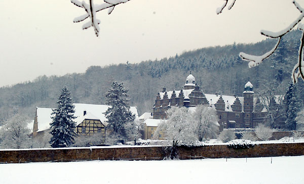 Ein Winterspaziergang am 4. Advent im Trakehner Gestt Hmelschenburg, Foto: Beate Langels