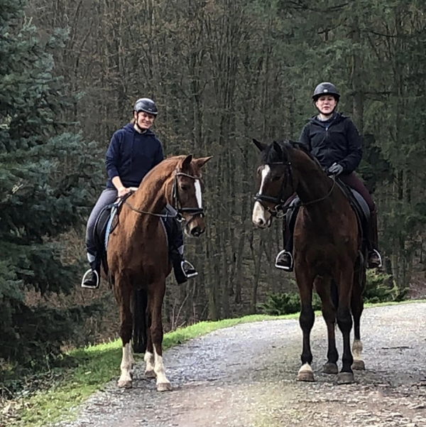 Ausritt mit Kavalou und Tom Taylor - Foto: Beate Langels - 
Trakehner Gestt Hmelschenburg