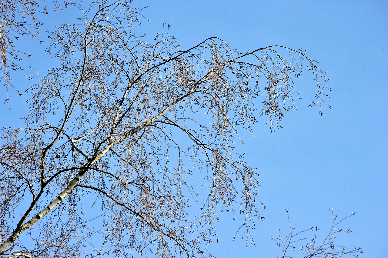 Blauer Himmel am 20.02.2026 Gest�t H�melschenburg - 
Foto: Beate Langels