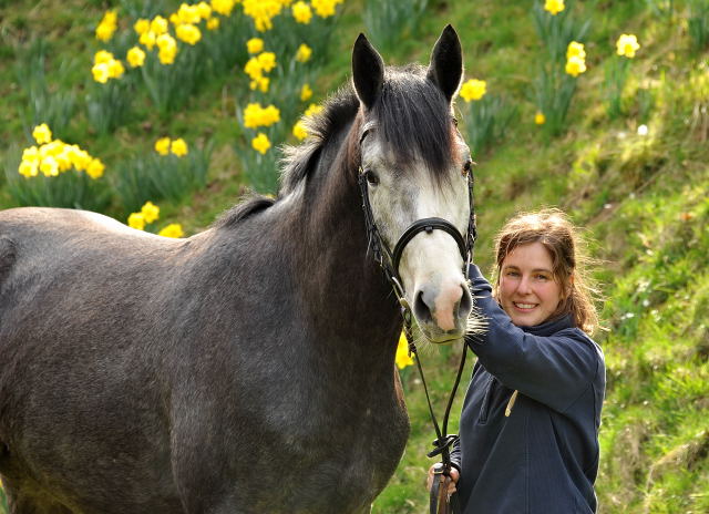 Tea for Two von Saint Cyr u.d. Teatime v. Summertime, Foto: Beate Langels - Trakehner Gestt Hmelschenburg