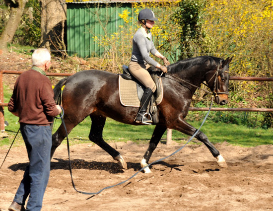 Das zweite Mal unter dem Reiter - Trakehner Gest�t H�melschenburg