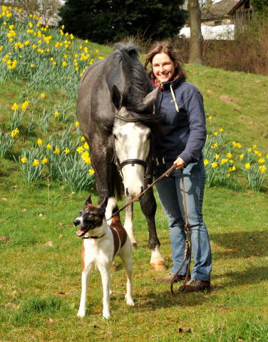 Tea for Two von Saint Cyr u.d. Teatime v. Summertime, Foto: Beate Langels - Trakehner Gestt Hmelschenburg