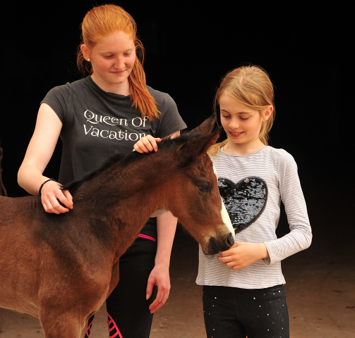 Tacyra mit Stutfohlen von Alter Fritz - Foto: Beate Langels