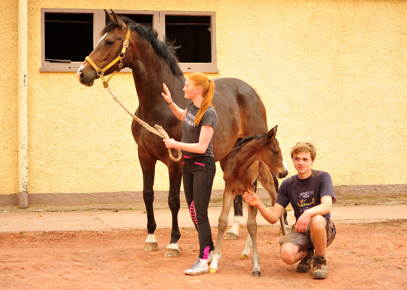 Tacyra mit Stutfohlen von Alter Fritz - Foto: Beate Langels