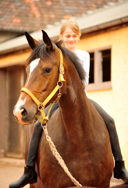 Tacyra mit Stutfohlen von Alter Fritz - Foto: Beate Langels