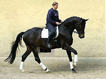 Our horses from the year 2005