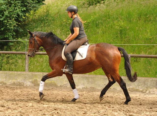 Klassic Touch v. Oliver Twist u.d. Klassic v. Freudenfest - Gestt Hmelschenburg am 19. Mai 2016