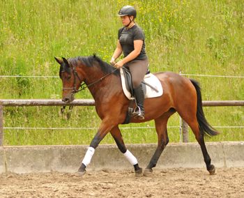 Klassic Touch v. Oliver Twist u.d. Klassic v. Freudenfest - Gestt Hmelschenburg am 19. Mai 2016