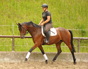 Klassic Touch v. Oliver Twist u.d. Klassic v. Freudenfest - Gestt Hmelschenburg am 19. Mai 2016