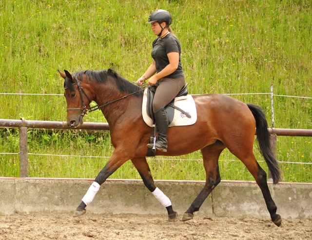 Klassic Touch v. Oliver Twist u.d. Klassic v. Freudenfest - Gestt Hmelschenburg am 19. Mai 2016