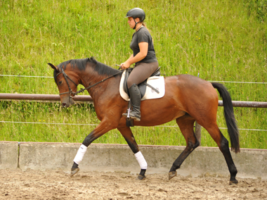 Klassic Touch v. Oliver Twist u.d. Klassic v. Freudenfest - Gestt Hmelschenburg am 19. Mai 2016