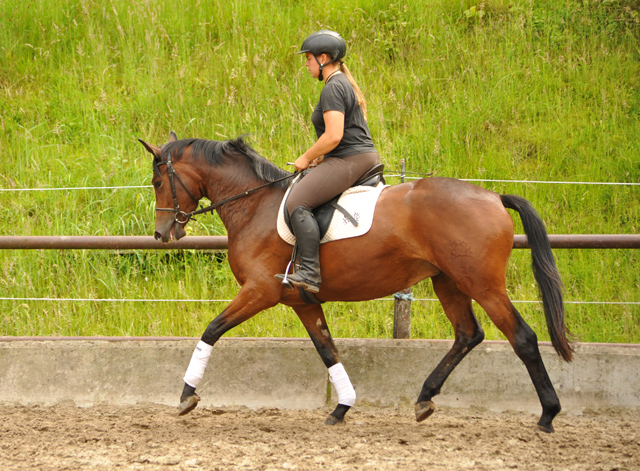 Klassic Touch v. Oliver Twist u.d. Klassic v. Freudenfest - Gestt Hmelschenburg am 19. Mai 2016