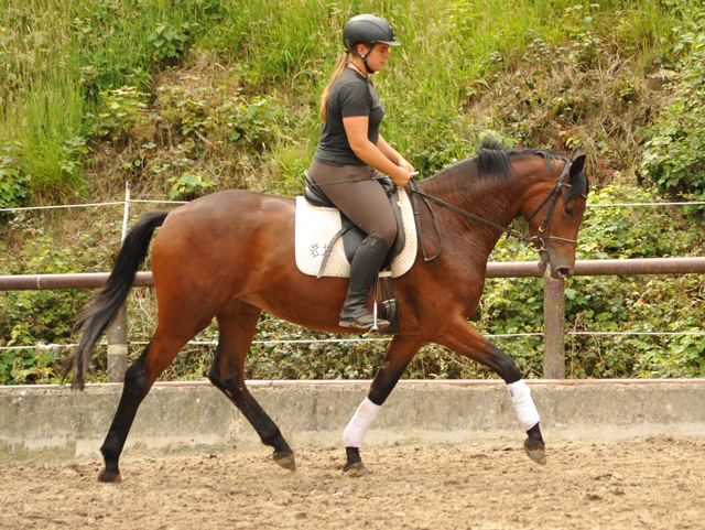Klassic Touch v. Oliver Twist u.d. Klassic v. Freudenfest - Gestt Hmelschenburg am 19. Mai 2016