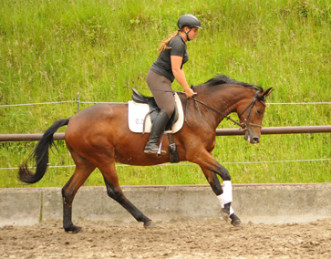 Klassic Touch v. Oliver Twist u.d. Klassic v. Freudenfest - Gestt Hmelschenburg am 19. Mai 2016