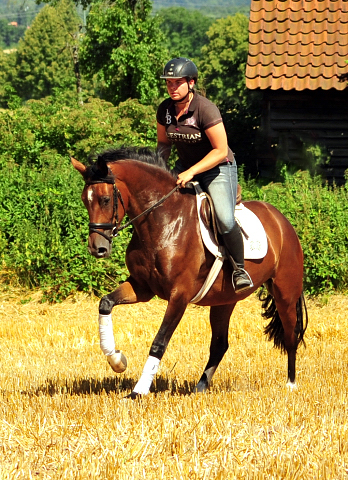 Prmienanwrterin Karida von Oliver Twist u.d. Pr.u.StPrSt. Karena v. Freudenfest  - Foto: Beate Langels -  
Trakehner Gestt Hmelschenburg