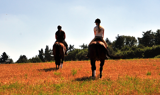 Prämienanwärterin Karida von Oliver Twist u.d. Pr.u.StPrSt. Karena v. Freudenfest - Foto: Beate Langels -
Trakehner Gestüt Hämelschenburg