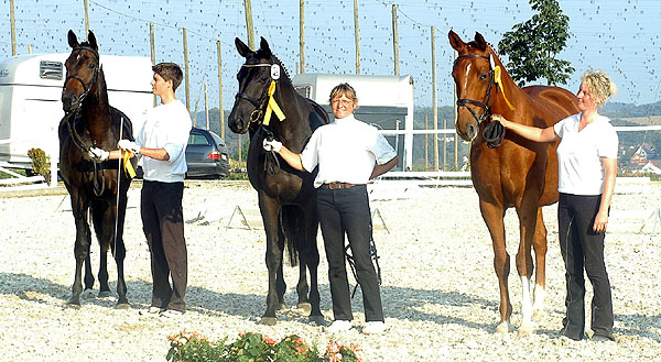 1b Preis der Familien: Polartnzerin v. Kostolany - mit ihren beiden Tchtern von K2 - Trakehner Gestt Hmelschenburg - Foto: Beate Langels