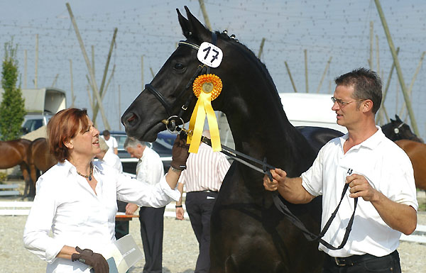  - Trakehner Gestt Hmelschenburg - Foto: Beate Langels