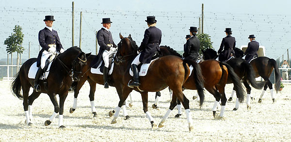 Trakehner Dressur-Quadrille - mit dem Kostolany Sohn Emron - Foto: Beate Langels