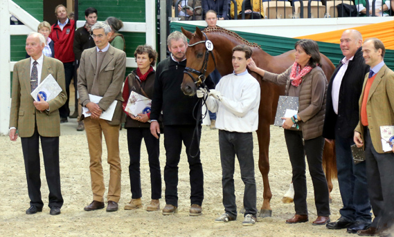 Tudor mit Zchtern und Besitzern - Trakehner Hengstmarkt 2014 - Foto: Beate Langels