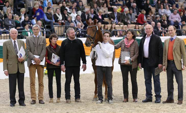 Tudor mit Zchtern und Besitzern - Trakehner Hengstmarkt 2014 - Foto: Beate Langels