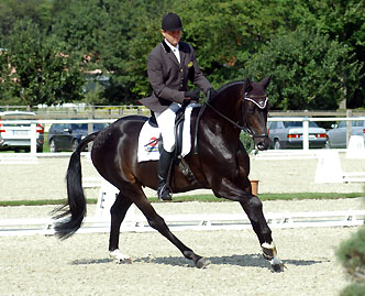 Bundeschampion 2010: Songline v. Summertime - Exclusiv, 6jhrig - Foto: Beate Langels, Gestt Hmelschenburg