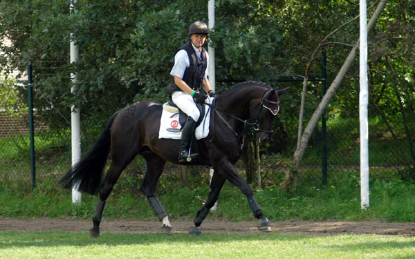 Bundeschampion 2010: Songline v. Summertime - Exclusiv, 6jhrig - Foto: Beate Langels, Gestt Hmelschenburg