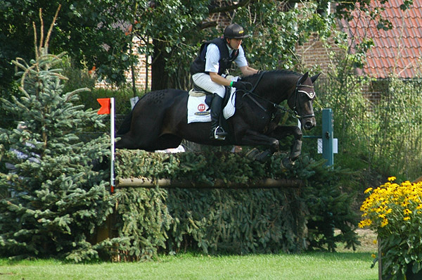 Bundeschampion 2010: Songline v. Summertime - Exclusiv, 6jhrig - Foto: Beate Langels, Gestt Hmelschenburg