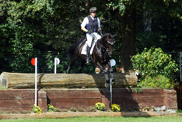 Bundeschampion 2010: Songline v. Summertime - Exclusiv, 6jhrig - Foto: Beate Langels, Gestt Hmelschenburg