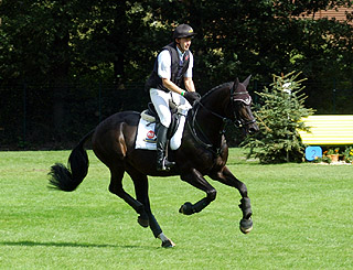 Bundeschampion 2010: Songline v. Summertime - Exclusiv, 6jhrig - Foto: Beate Langels, Gestt Hmelschenburg