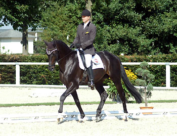 Bundeschampion 2010: Songline v. Summertime - Exclusiv, 6jhrig - Foto: Beate Langels, Gestt Hmelschenburg
