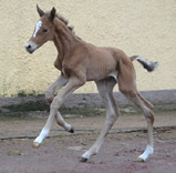 Jahrgang 2011