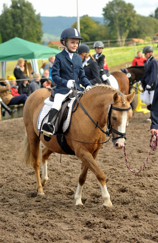 Cinja und Greta - 3. Platz Fhrzgelwettbewerb in Diedersen - Foto Beate Langels - Gestt Hmelschenburg