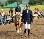 Cinja und Greta - Foto Beate Langels- Trakehner Gestt Hmelschenburg