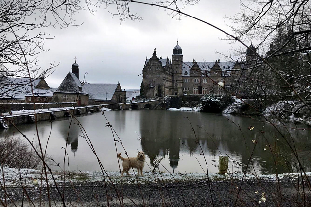 Trakehner Gestt Hmelschenburg 21. Januar 2018 - Foto: Beate Langels